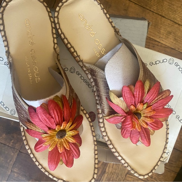 André Assous - Picture 1 of 2